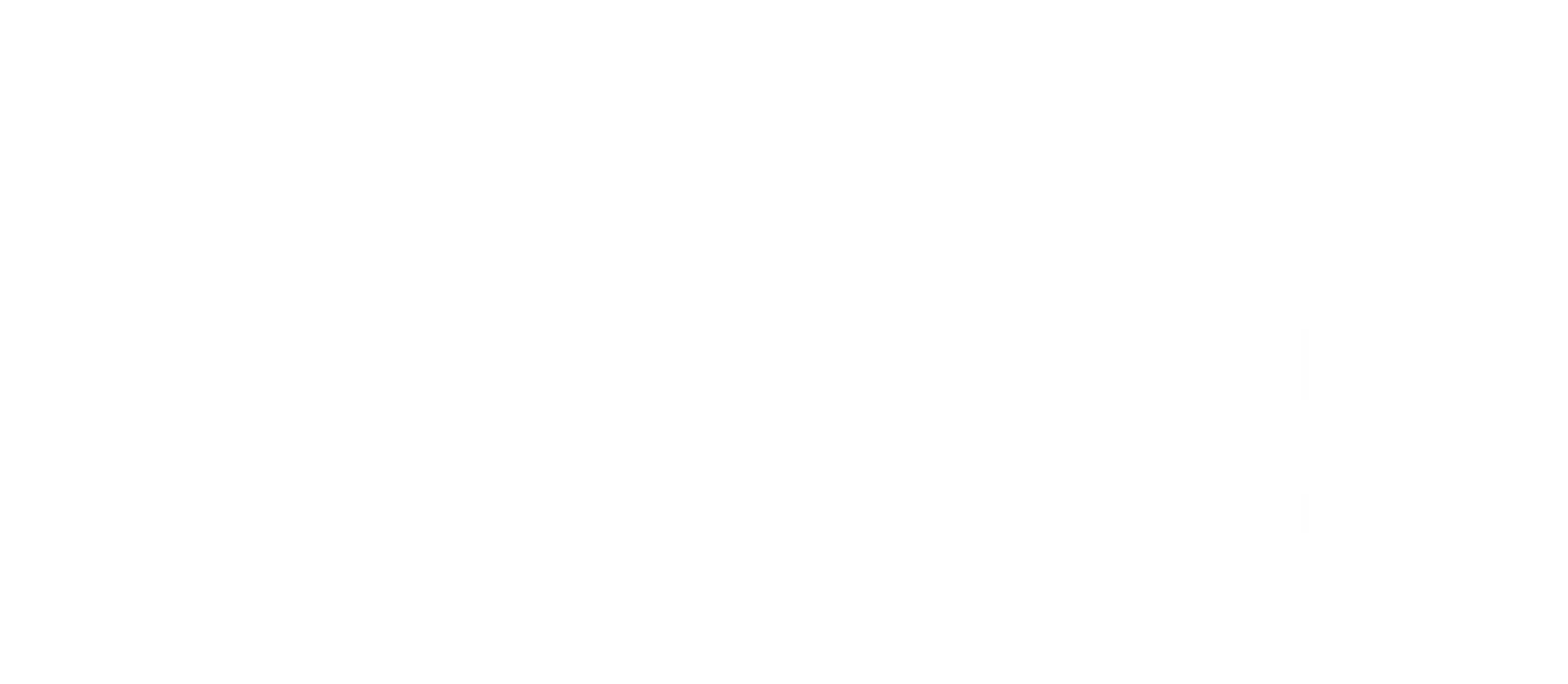 Geoshield_Logo_White ppf boerne tx